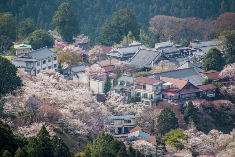 Travel better in 2023 with these top 10 sustainable holiday destinations